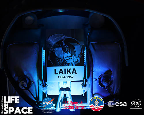 Life In Space - The Exhibition